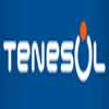 TENESOL