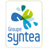 SYNTEA