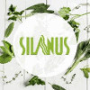 SILANUS KFT.