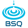 BSQ TRADE, S.A.