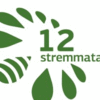 12STREMMATA