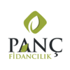 PANCFIDANCILIK