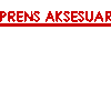 PRENS AKSESUAR