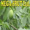 MEGA-FRUT LTD.