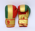 Gants De Boxe Skwale Pretender mali Flag