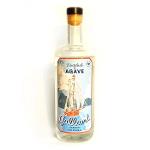 “Mezcal” Agave sauvage 