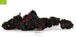 Mûre - Mulberry Noire Séchée - OUZBEKISTAN - 5 Kg - Bio*