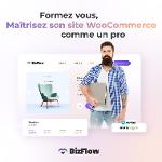 Maîtriser sa boutique WooCommerce – Formation site web