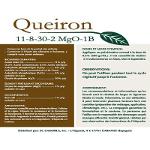 Queiron 11-8-30