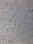 Granito ciment
