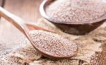 Psyllium