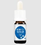 Huile Hempet - Fish Oil 5 % - CBD bien-être pour animaux