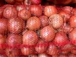 Zesteur Canneleur eplucheuse zeste fruits machine à éplucher - Europages