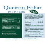 Queiron 10-7-9