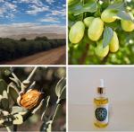  Huile de jojoba BIO