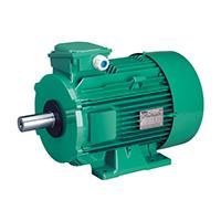 LS 71 M* 0,37 kw 2780 min-1 230/400V