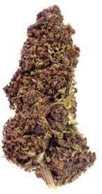 Purple / Purple Greenhouse - 250gr