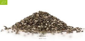 Graine de Chia (Salvia hispanica) Noire - PARAGUAY - 25kg - Bio*