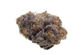 Fleur de CBD Purple Bio