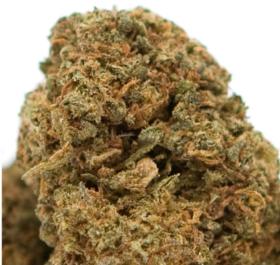 Orange Bud  - Greenhouse 100g