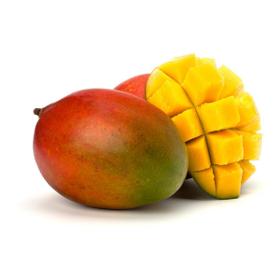 La Mangue Kent