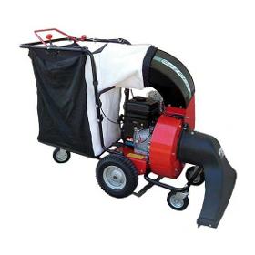 Aspirateur de feuilles Thermique VL AF 200 SL