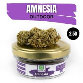 Amnesia Out Fleurs Cbd Françaises