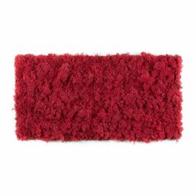 Tableau lichen stabilisé Rouge - 30 x 60 cm