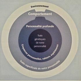 Formation  personnalité & comportement 