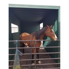 Box à chevaux container