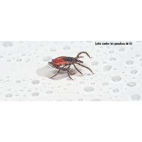 AEDEX EC - Insecticide punaise de lit