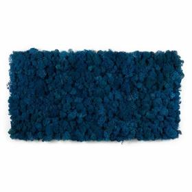 Tableau lichen stabilisé Bleu royal - 30 x 60 cm
