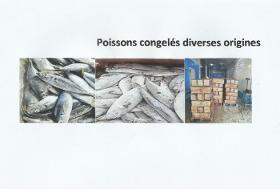 poissons congélés