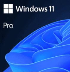 Microsoft Windows 11 Pro