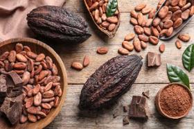 Beurre de cacao provenance afrique