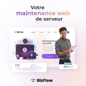 Maintenance et dépannage de serveur / hébergement web