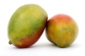 Mangue