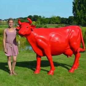 Vache Couleur Rouge