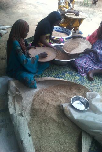 Grossiste Huile de Chebe en provenance du Tchad