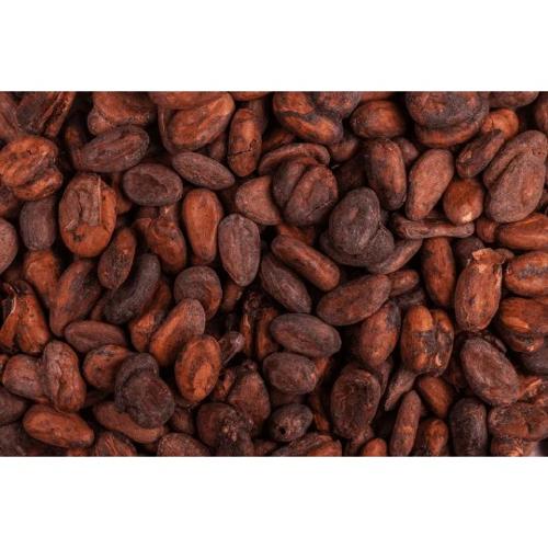Exportations de fèves de cacao