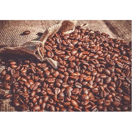 Import export de café