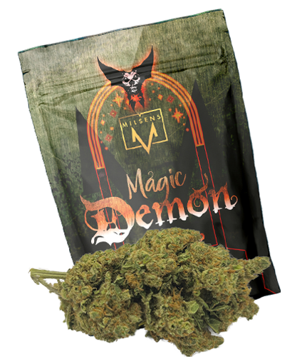 MAGIC DEMON