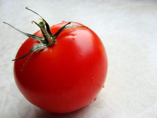 tomate ronde