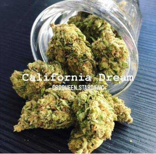 California Dream, Fleur de cbd hydroponique