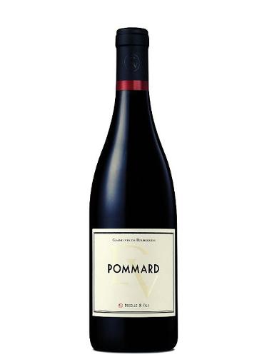 Domaine Decelle & Fils - Pommard 2020