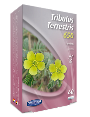 Tribulus Terrestris 650