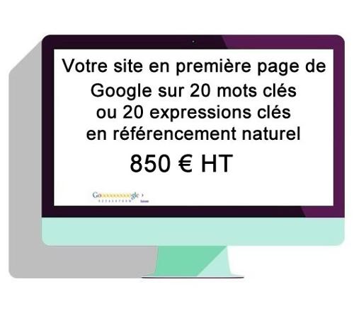 20 pages de votre site en première page de Google, en référencement naturel