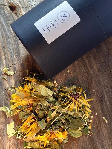 Tisane Eclat Bio