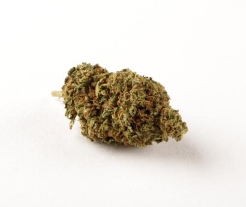 Grossiste CBD en France - Harley Cbd Indoor - Fleurs Cbd