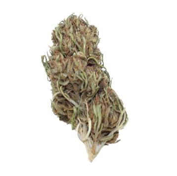 Grossiste CBD en France - Mango Cbd - Fleurs Cbd